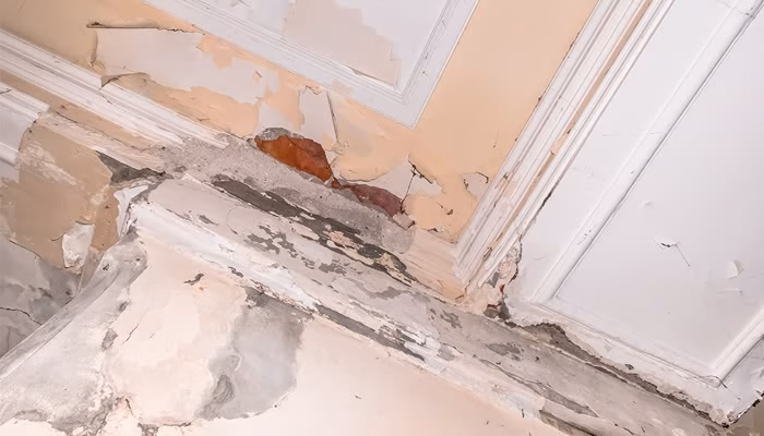 Techo dañado con pintura descascarada y grietas, exhibe desgaste y deterioro. Se observa en un entorno posiblemente antiguo con molduras blancas y secciones de yeso expuesto.