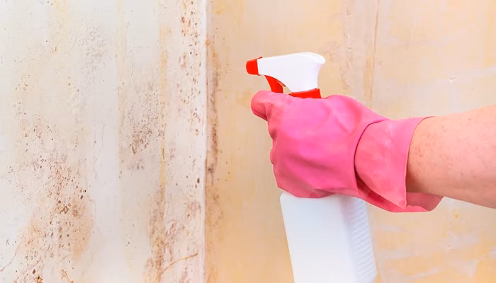 Una mano con guante rosa usa un pulverizador blanco para limpiar una pared manchada. La acción se desarrolla en un entorno hogareño, enfocado en la limpieza.