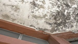 Pared dañada muestra pintura descascarada y manchas de humedad. Se observa un marco de ventana marrón en la parte inferior. El entorno es un área interior deteriorada.