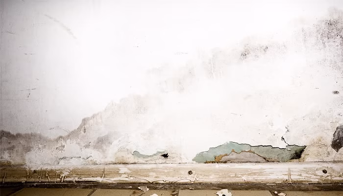 Pared desgastada presenta manchas y pintura descascarada, revelando áreas verdes debajo, en un entorno interior con suelo de baldosas.