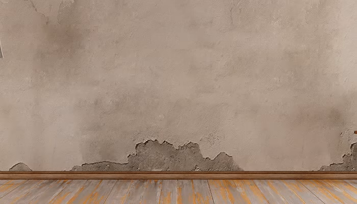Una pared sin texto muestra grietas visibles. El suelo de madera con tonos grises y marrones complementa el entorno. La escena presenta un ambiente deshabitado y rústico.