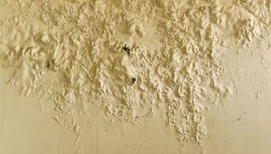 Una pared con humedad presenta grietas y protuberancias. El color es amarillo pálido, sin elementos adicionales discernibles alrededor.