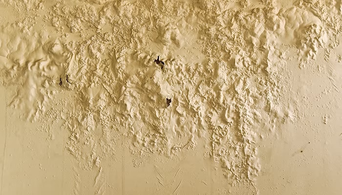 Una pared con humedad presenta grietas y protuberancias. El color es amarillo pálido, sin elementos adicionales discernibles alrededor.