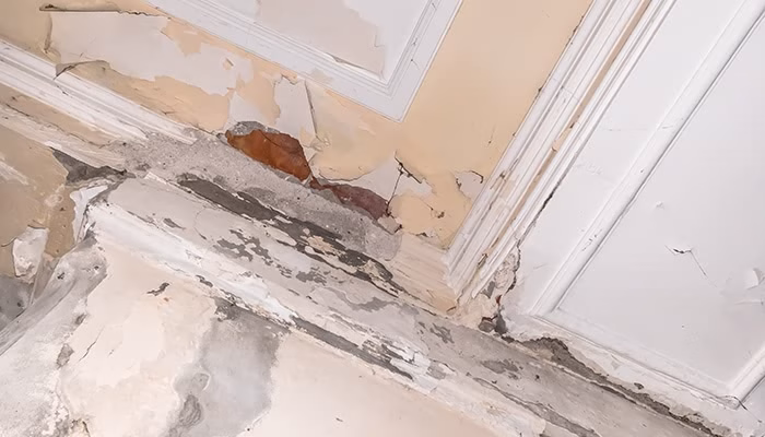 Techo con pintura descascarada, muestra daño y humedad. Se observa yeso expuesto y grietas. El entorno es interior, posiblemente con iluminación natural, sugerido por el tono del techo.