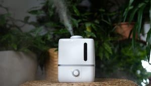 Un humidificador blanco emite vapor. Está colocado sobre una mesa de mimbre. Alrededor hay plantas verdes, creando un ambiente natural y relajante.