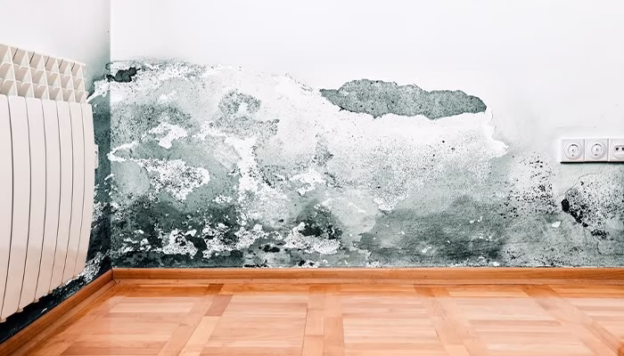 Moho se extiende por una pared blanca, deteriorando la pintura cerca de un enchufe eléctrico y un radiador. Suelo de madera lisa en el contexto interior de una habitación.