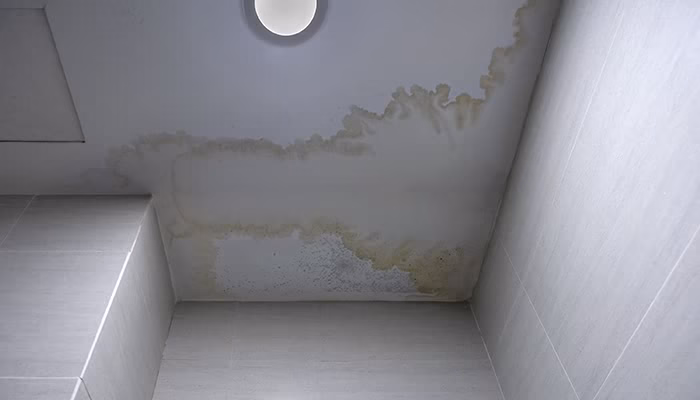 Manchas de humedad cubren el techo blanco, extendiéndose desde una esquina del plafón. La acción ocurre en un cuarto de baño con azulejos grises. Una luz redonda está encendida.