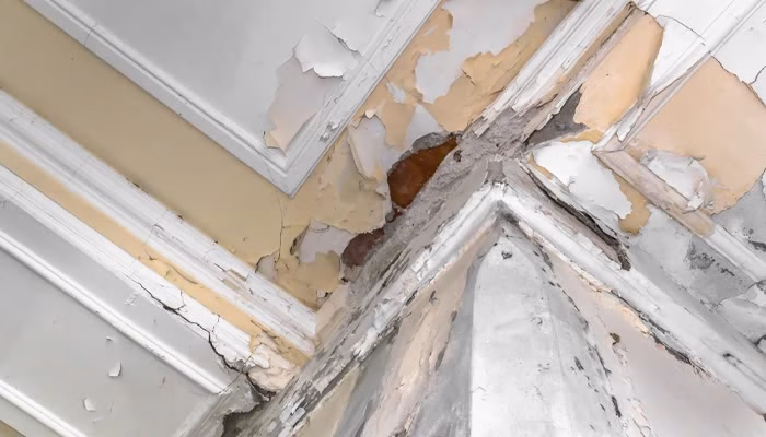 Pintura descascarada en el techo, mostrando deterioro y humedad. Se observan grietas y manchas en la intersección de las paredes, en una estructura de interiores posiblemente antigua.