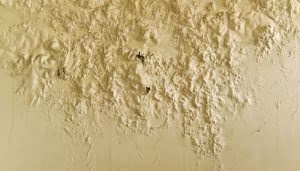 Pared presenta manchas de humedad, formando texturas irregulares y salientes, con dos agujeros pequeños visibles. El contexto es un ambiente interior con pintura desgastada.