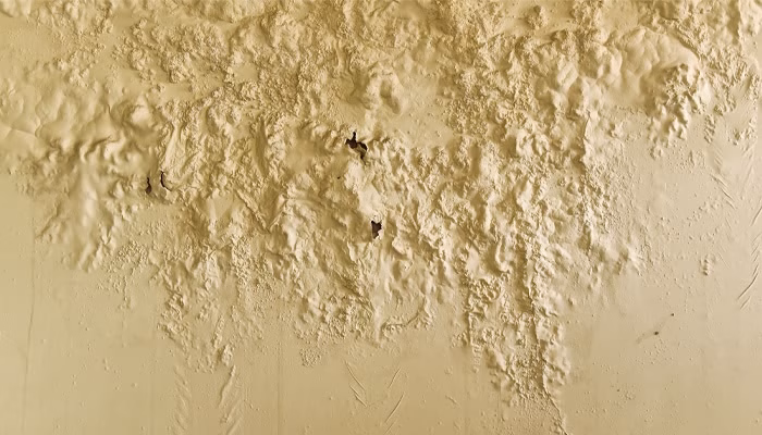 Pared presenta manchas de humedad, formando texturas irregulares y salientes, con dos agujeros pequeños visibles. El contexto es un ambiente interior con pintura desgastada.