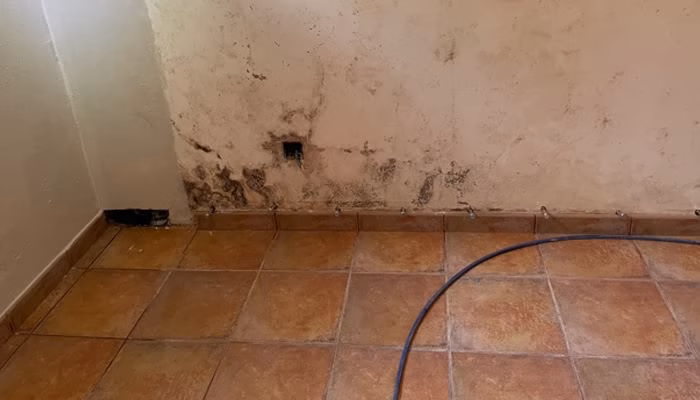 Pared con manchas de humedad y moho, junto a un suelo de baldosas marrones, en una habitación vacía y desgastada. Un cable negro se encuentra en el suelo.