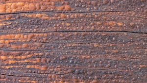 Superficie de madera rugosa, presenta grietas y textura desigual. El color es una mezcla de marrones y anaranjados, sugiriendo envejecimiento. Ambiente iluminado, destacando detalles de la madera.