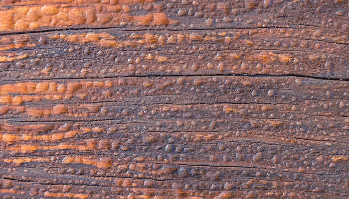 Superficie de madera rugosa, presenta grietas y textura desigual. El color es una mezcla de marrones y anaranjados, sugiriendo envejecimiento. Ambiente iluminado, destacando detalles de la madera.