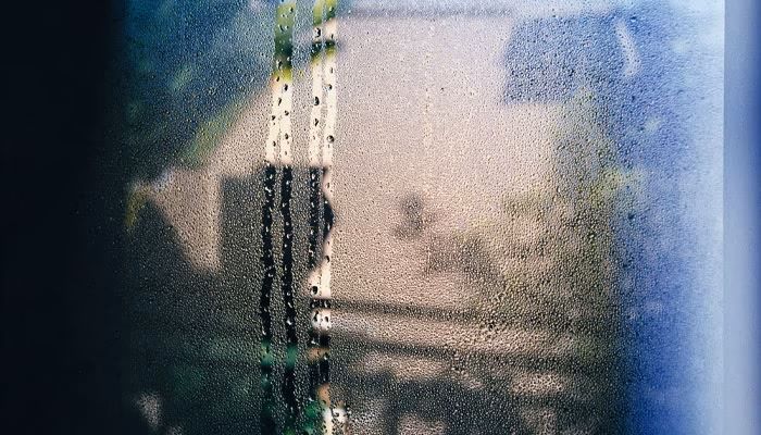 Gotas de agua resbalan por una ventana empañada, sugiriendo un ambiente húmedo. Al fondo, se vislumbran sombras borrosas de un jardín o patio exterior.