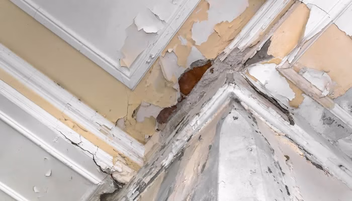 Techo deteriorado con pintura descascarada y humedad visible. Las manchas oscuras indican filtraciones de agua. El entorno es una esquina interior de una habitación, mostrando el daño estructural.