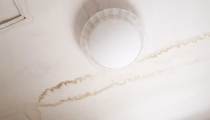 Lámpara redonda fijada al techo. Proporciona luz uniforme. Rodeada de manchas de humedad visibles en el techo blanco, indicando posibles filtraciones de agua. Ambiente interior sencillo.