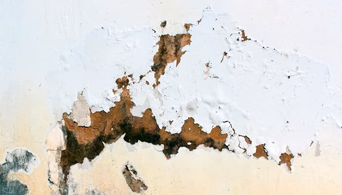 Pared con pintura descascarada, mostrando el yeso y ladrillo debajo; el deterioro sugiere humedad o envejecimiento. Ambiente descolorido con manchas visibles en tonos marrones.
