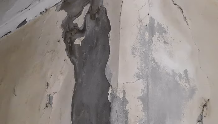 Pared con grandes grietas y peeling. El yeso se ha desprendido, revelando zonas oscuras. El entorno es de interior, indicando desgaste y falta de mantenimiento. No hay texto visible.