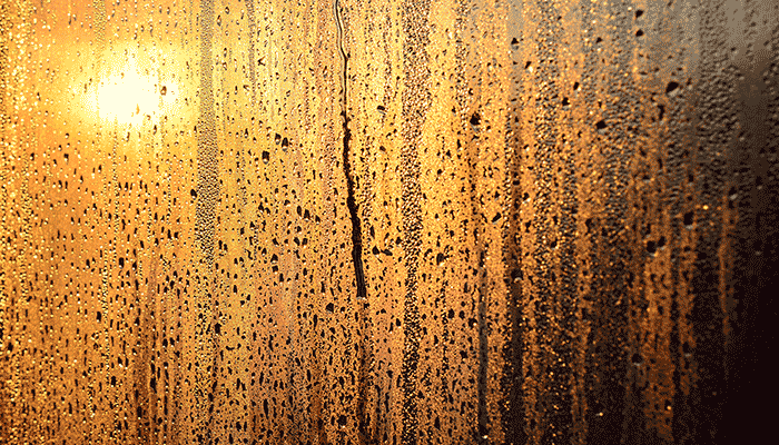 humedad en paredes por lluvia