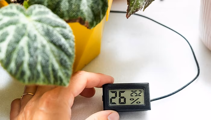 Un medidor digital muestra "26% 25.2" sostenido por una mano. Se encuentra junto a una planta en una maceta amarilla sobre una superficie blanca.