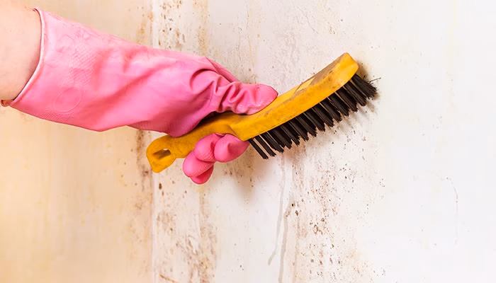 Una mano con guante rosa frota una pared blanca con un cepillo de cerdas duras, eliminando manchas oscuras. La escena implica limpieza o mantenimiento.