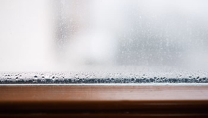 Gotas de agua se acumulan en la parte inferior de una ventana húmeda, creando un efecto de condensación. El marco de madera destaca en un ambiente difuminado y nublado.