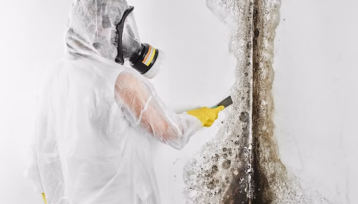 Una persona con traje protector y máscara raspa moho de una pared blanca, usando un utensilio de mano. La pared está cubierta de manchas oscuras y moho evidente.