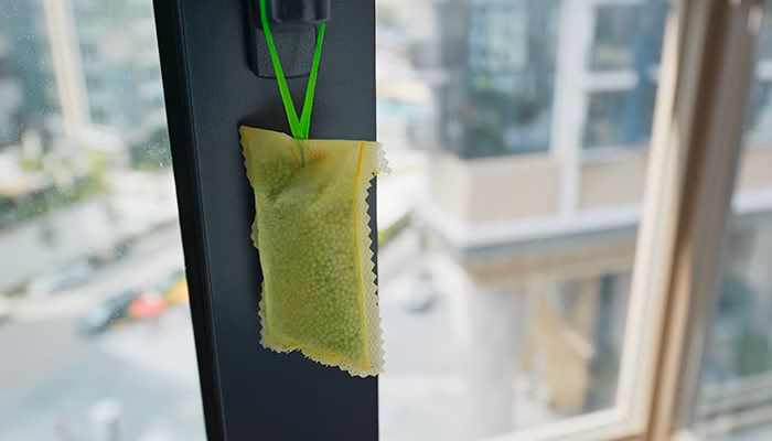 Un saquito verde cuelga de un gancho, colgando dentro de un edificio. Al fondo, se observa un entorno urbano con ventanas y edificios borrosos.