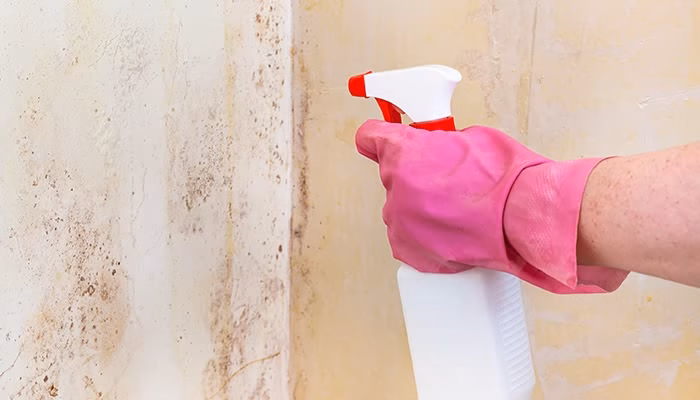 Una mano con guante rosa sostiene un pulverizador, rociando líquido sobre una pared con manchas negras. La escena sugiere limpieza de moho en un entorno doméstico.