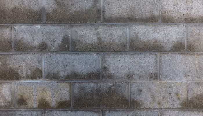 Pared de ladrillos grises, exhibe manchas oscuras, posiblemente por humedad, que se extienden de manera irregular por la superficie, en un entorno externo posiblemente expuesto al clima.