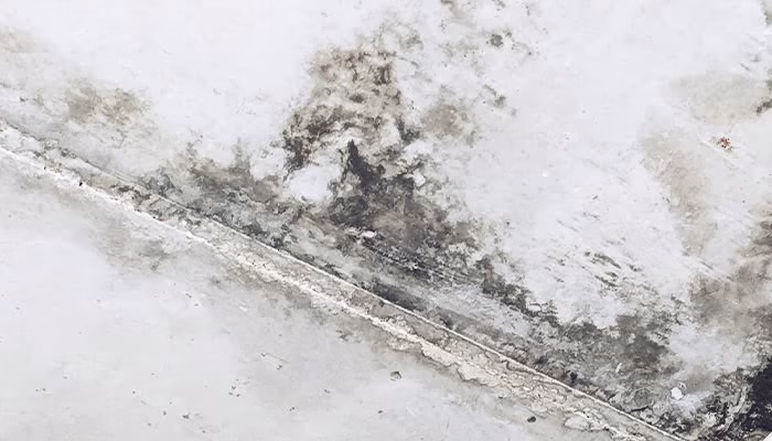 Una superficie blanca muestra una línea diagonal gris y texturas oscuras irregulares, posiblemente manchas de humedad, en un entorno de apariencia desgastada o sucia, sin texto visible.