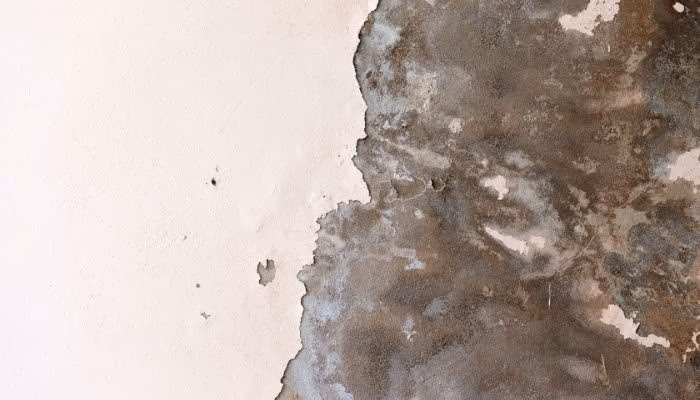 Una pared muestra manchas de humedad oscuras esparciéndose. La acción de deterioro resalta en el contexto de una superficie blanca, indicando problemas de filtración o daño por agua.