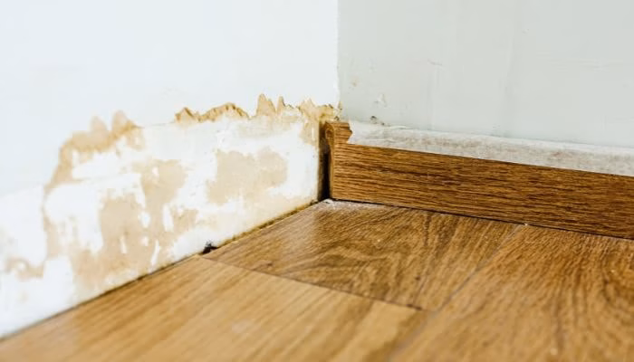 Una pared muestra señales de humedad y desgaste en la base, junto a un suelo de madera en una esquina de una habitación.