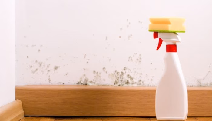 Una botella de spray de limpieza sostiene esponjas en la parte superior, colocada en un suelo de madera junto a una pared con manchas de moho oscuro.